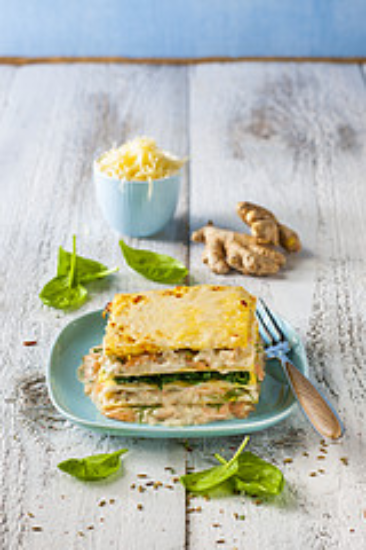 Image de SURG LASAGNE SAUMON 4X3KG