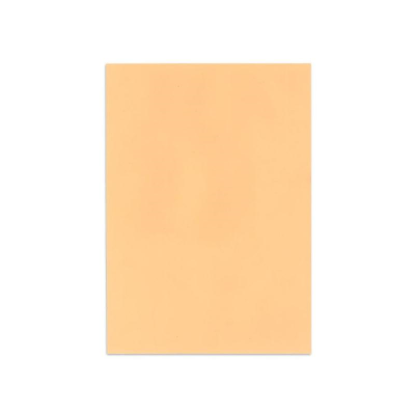 Image de MEAT SAVER PAPER 20X30 PECHE (1000PCS)