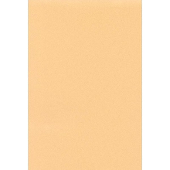 Image de FEUILLE PERGA PECHE 40X60 15KG
