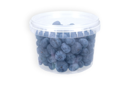 Image de PP POT + COUV. 565ml 118mm (290pcs)