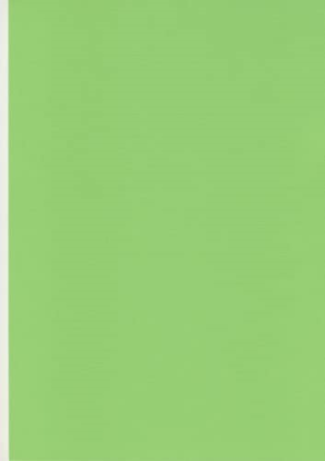 Image de MEAT SAVER PAPER 20X30 VERT (1000PCS)