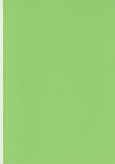 Image de MEAT SAVER PAPER 19X25 VERT (1000PCS)