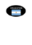 Image de AUTOCOLLANT "ARGENTINE" 45X27 1000PCS