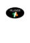 Image de AUTOCOLLANT "IRLANDE" 45X27 1000PCS