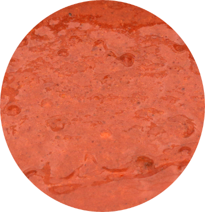Image de MARINADE CHORIZO 3KG Elite Butcher